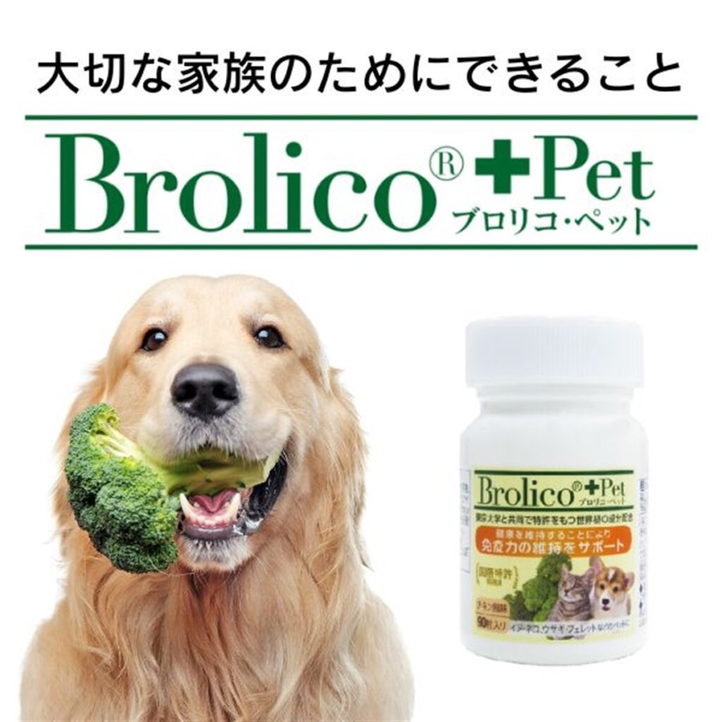 ブロリコ・ペット