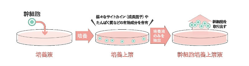 ピュアスキンイメージ