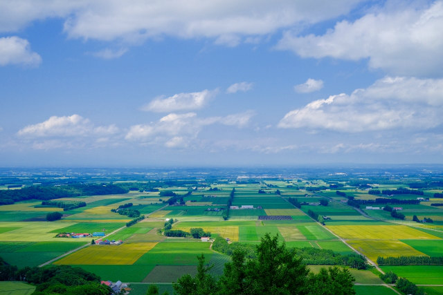 十勝の風景