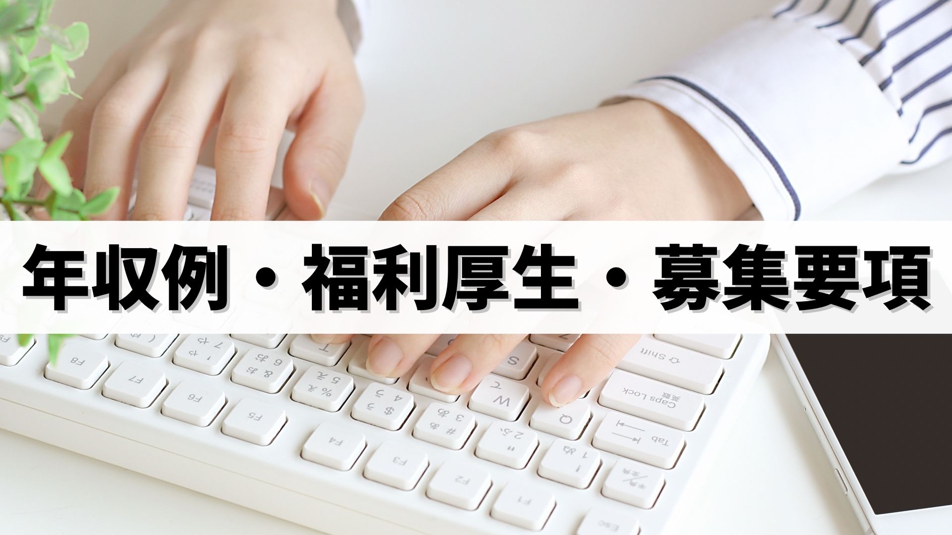 カスタムグラビアの年収例・福利厚生・求人募集要項