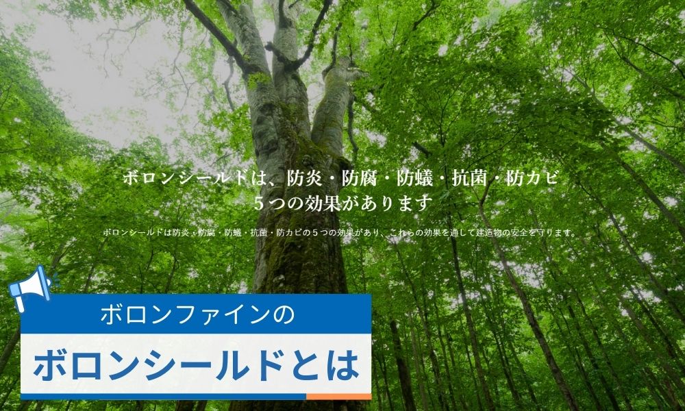 ボロンシールドとは