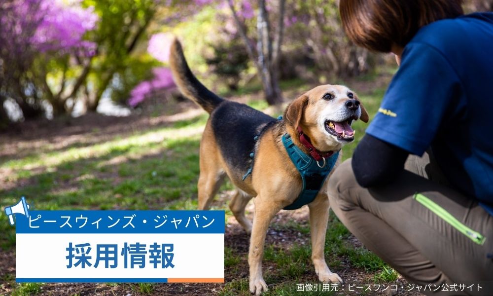 ピースウィンズ・ジャパンの採用情報