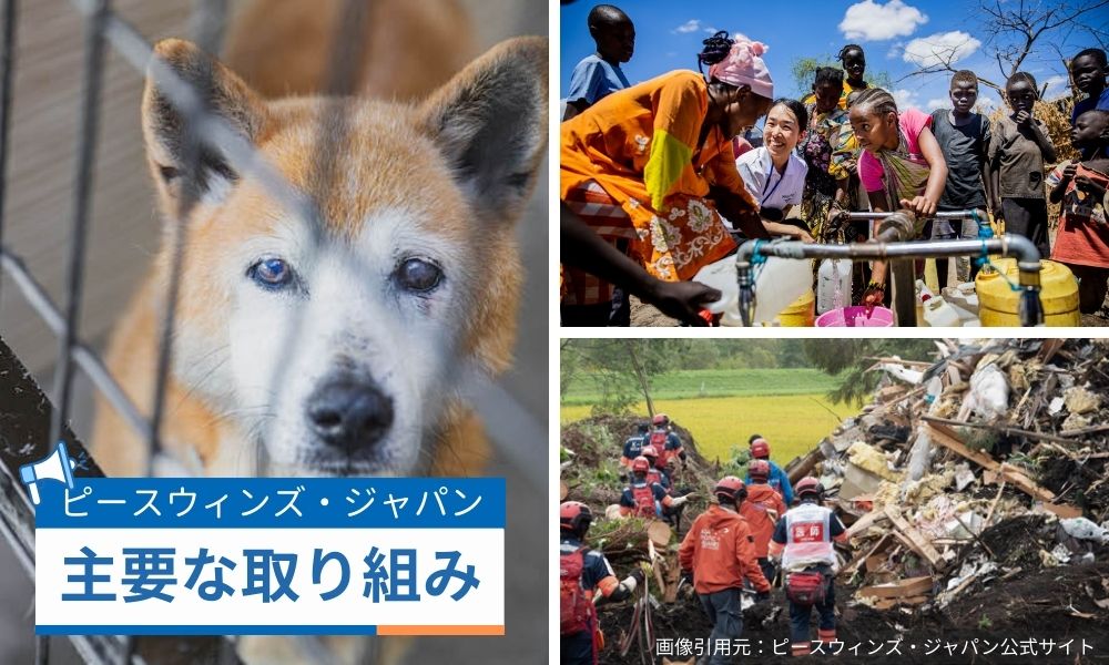 ピースワンコジャパンを中心とする主要な取り組み