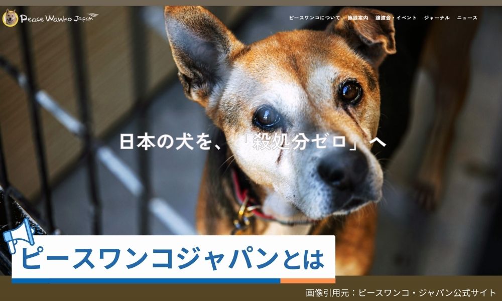 ピースワンコジャパンとは