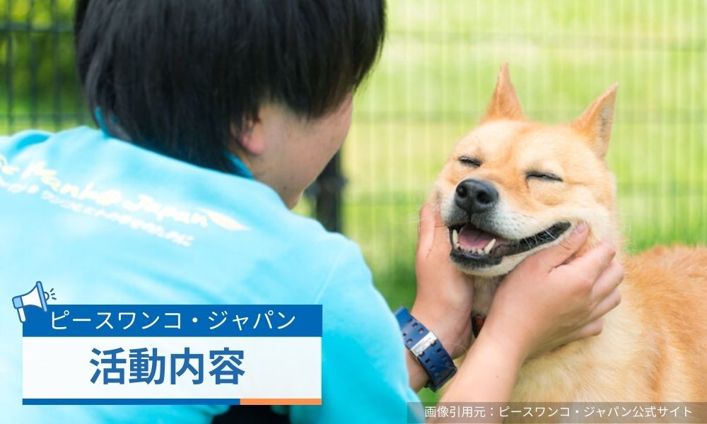 杉本彩が言及？ピースワンコジャパンの活動内容